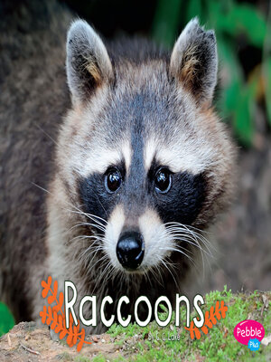 cover image of Raccoons